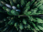 La forêt, un bien commun